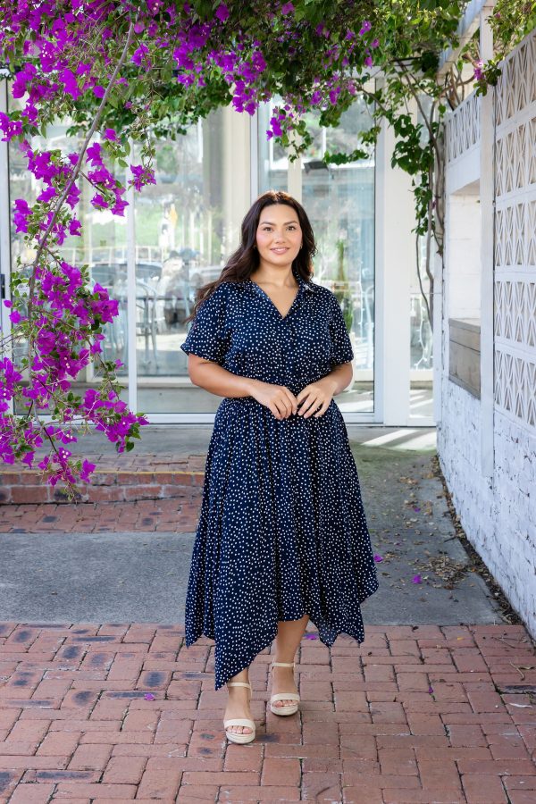 Cameron Dress in Navy Supply