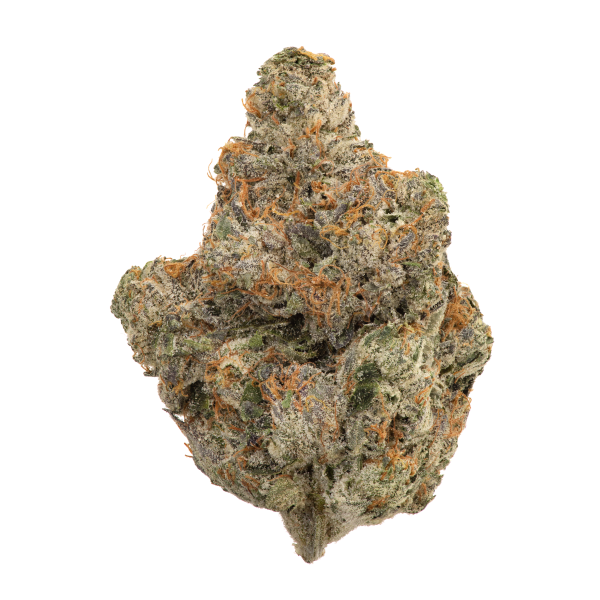 Organic BC Rockstar For Sale