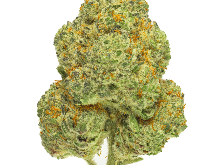 Chemango Kush Supply