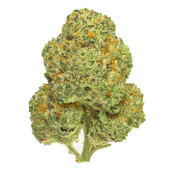 Chemango Kush Supply