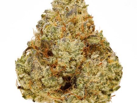 Organic BC White Grape OG Discount