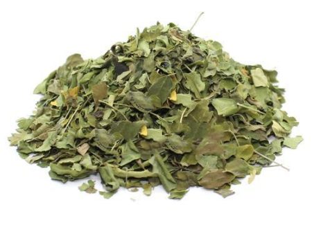 Dried Moringa Leaves Whole Cheap