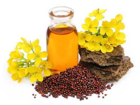 Mustard Oil Cheap