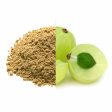 Amla Fruit Powder Cheap