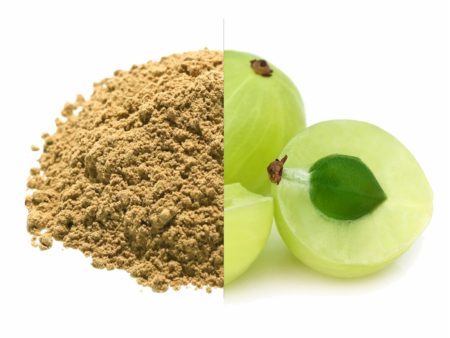 Amla Fruit Powder Cheap