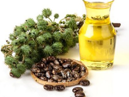 Castor Oil For Sale