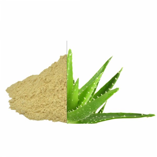 Aloe Vera Powder Online