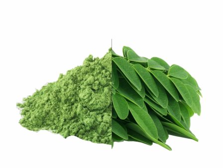 Dried Moringa Leaves Powder For Cheap